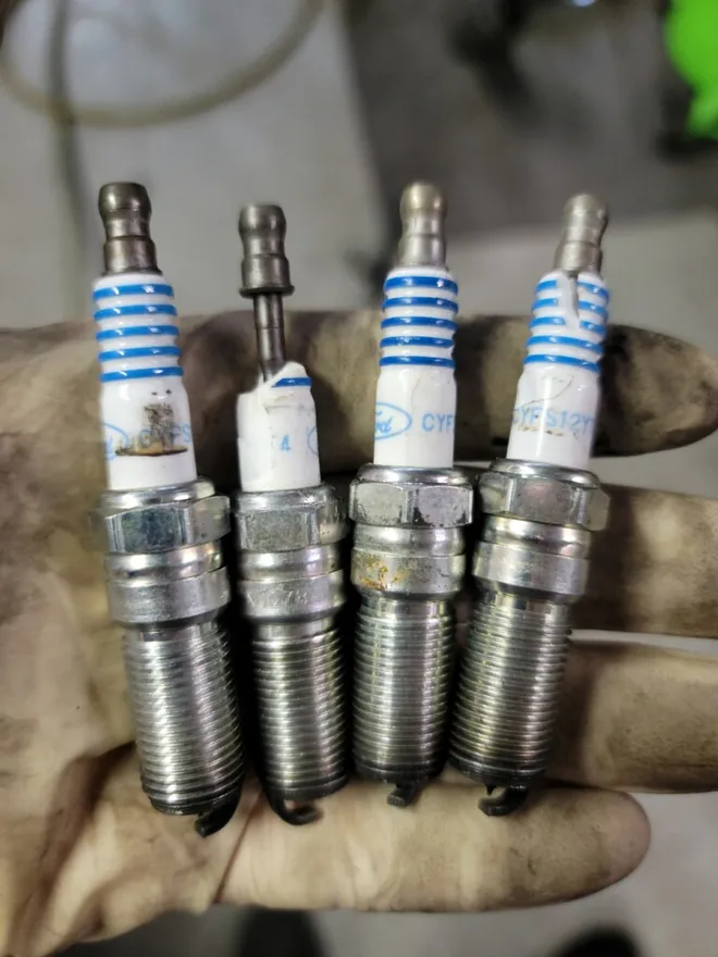 Spark plugs pulled from a cylinder head